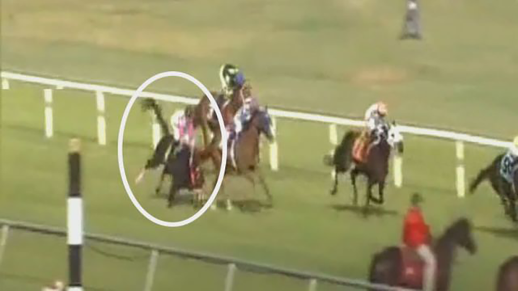 Bay Area Jockey Hospitalized After Fall From Horse In Race