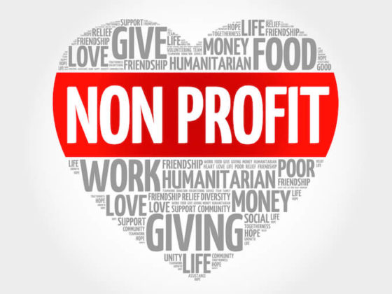 it-is-very-important-to-know-as-much-as-possible-about-nonprofits