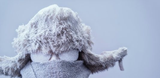 Floridians Facing Weather Conditions and A Crops Shortage CrisisÂ